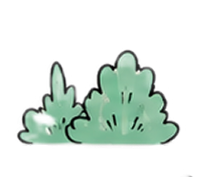 Bush